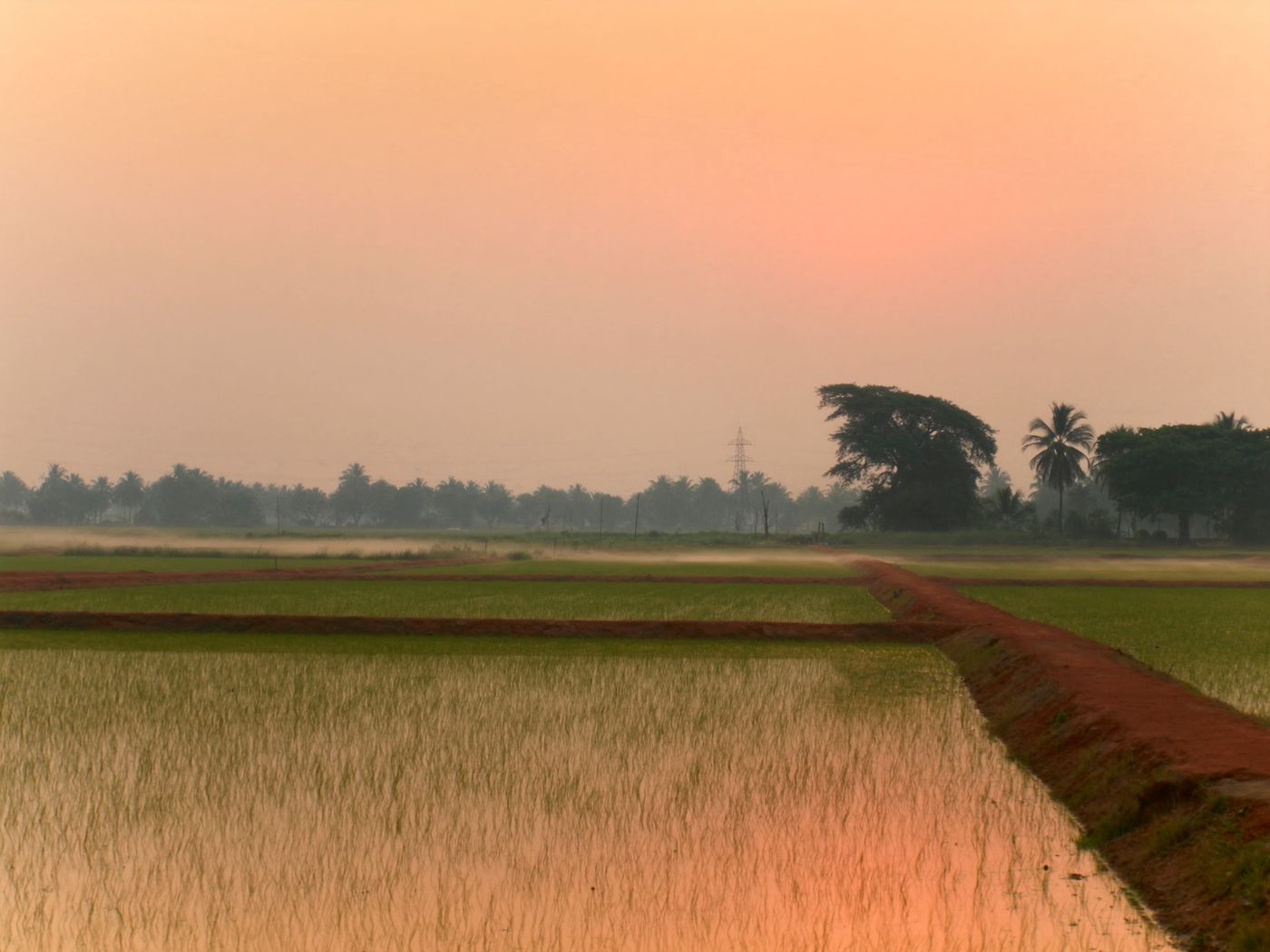 Paddy flats · around Raipur